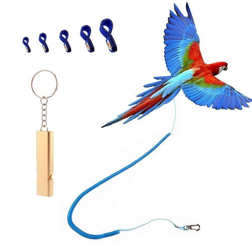 Parrot Bird Harness Leash Anti-Bite Outdoor Blue Flying Training Rope with 5Pcs