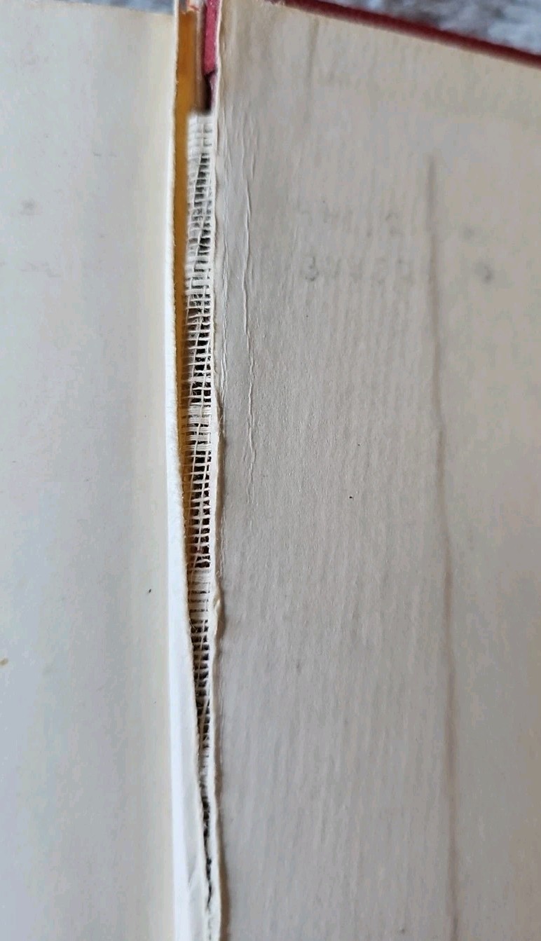 Foto 11 di 11