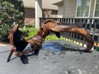 DRIFTWOOD MOPANI AQUARIUMS FISH REPTILES DECOR PET SUPPLIES GARDEN AQUASCAPING