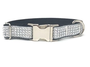 sparkly dog collar