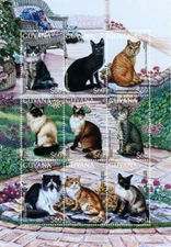 Guyana 1996 - Cats - Animals - Sheet Of 9 stamps - Scott #3103 - MNH