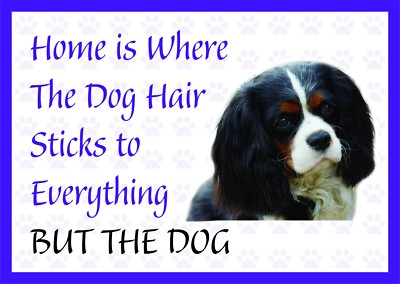 Home is Where The Dog Hair - Lustiger King Charles Spaniel Vinyl-Autoaufkleber Sticker