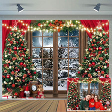 7X5Ft Christmas Backdrop - Xmas Window Photography Backdrop - Winter Dream Wonde