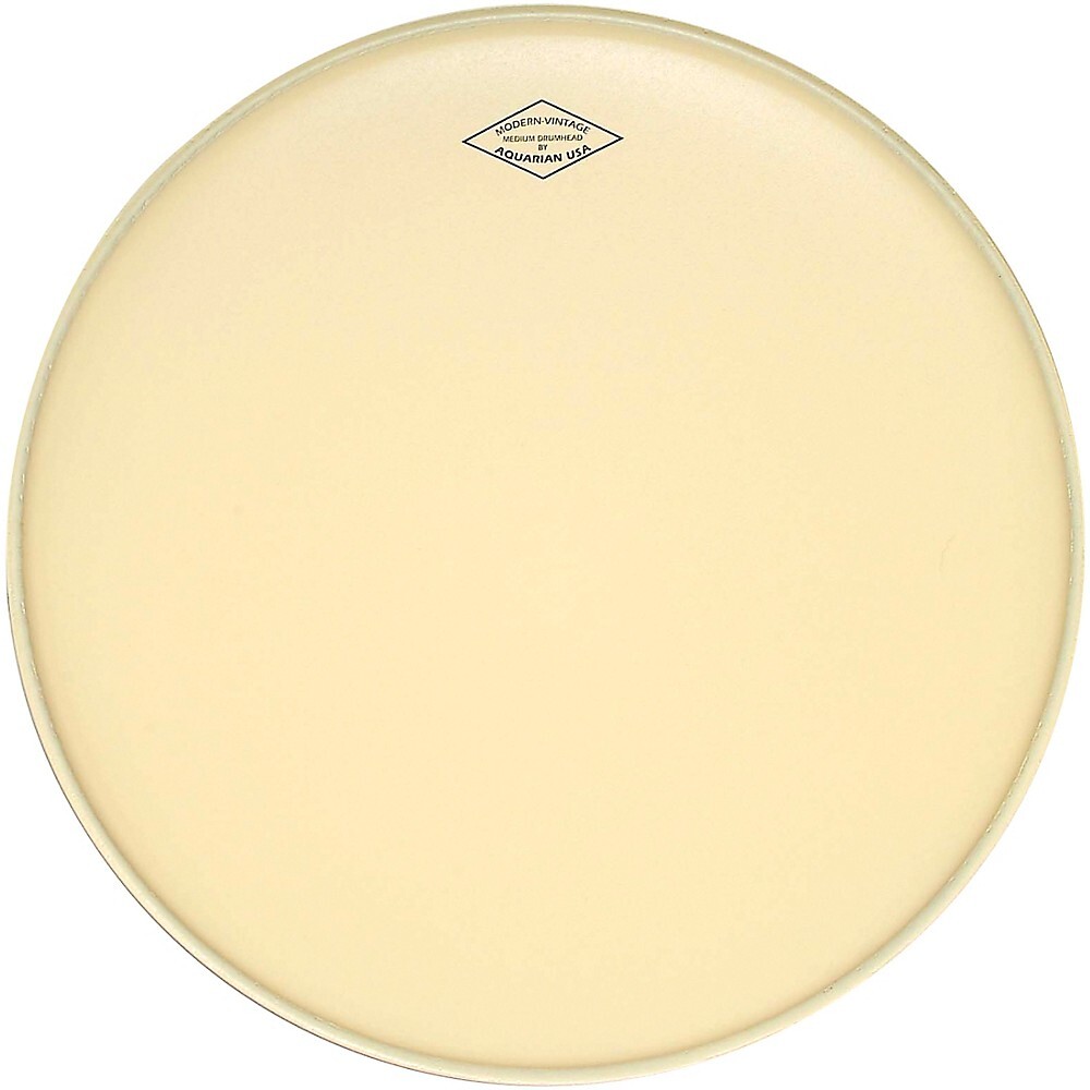 Аквариумистический Современный Винтажный Том среднего размера с головой 8 дюймов.