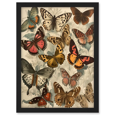 Vintage Cottagecore Aesthetic Butterflies Insect Study Decor Framed Art Print A3