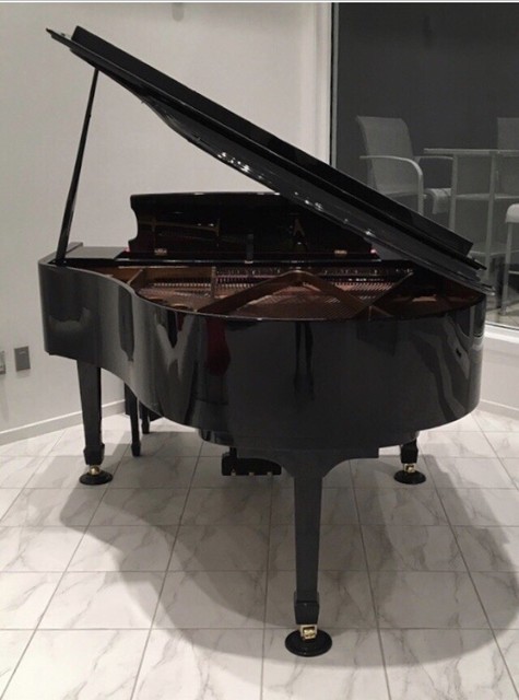 pearl river baby grand piano price