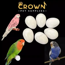 LOVEBIRDS FAKE EGGS Solid Plastic FOR BOURKES, Dummy STOP LAYING & BREEDING Ct 6