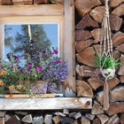 Bild 17 von 24