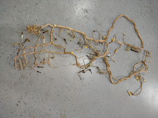 Gottlieb Pinball TX Sector Playfield Wiring Harness