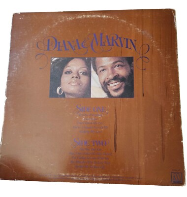 Diana & Marvin LPレコード