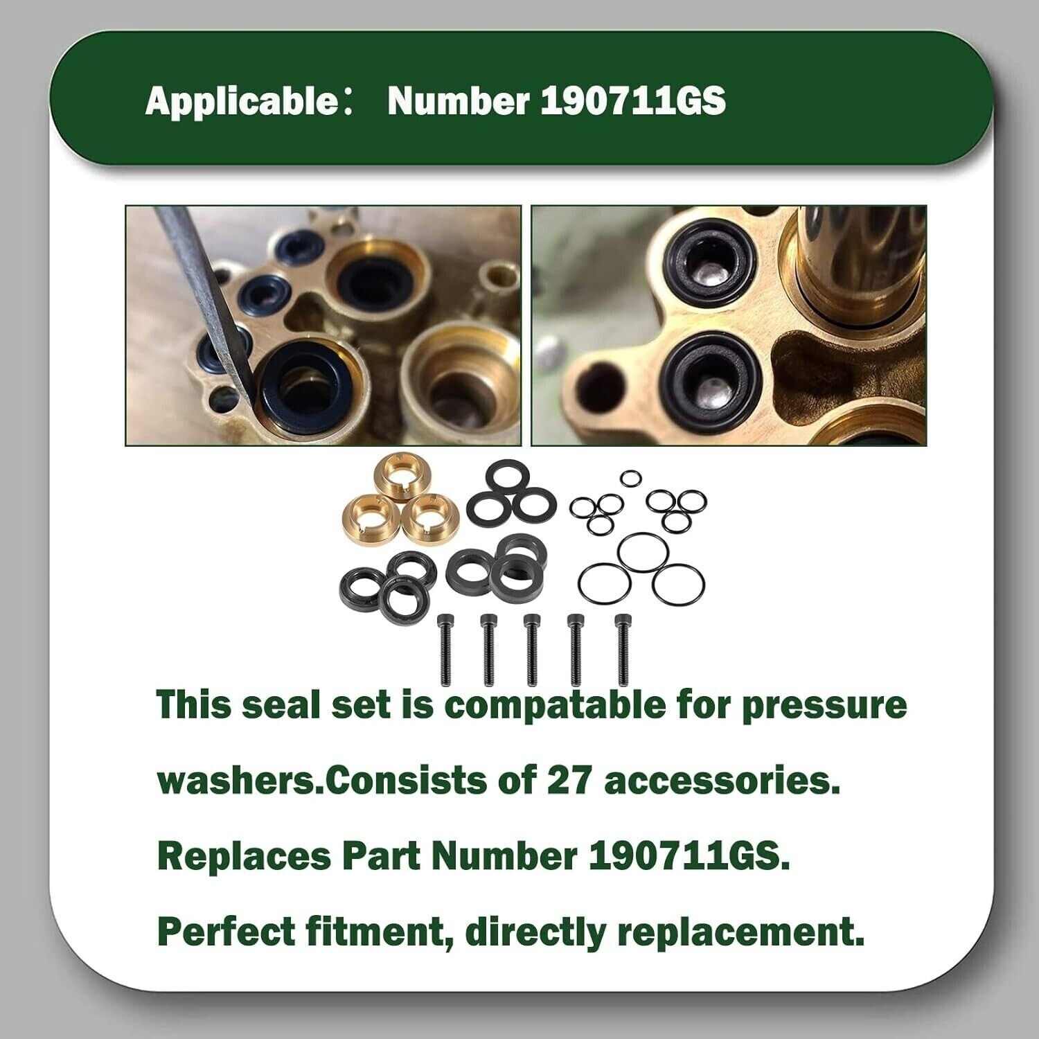 190595GS Pressure Washer Seal Kit For Briggs & Stratton Pumps 580752550