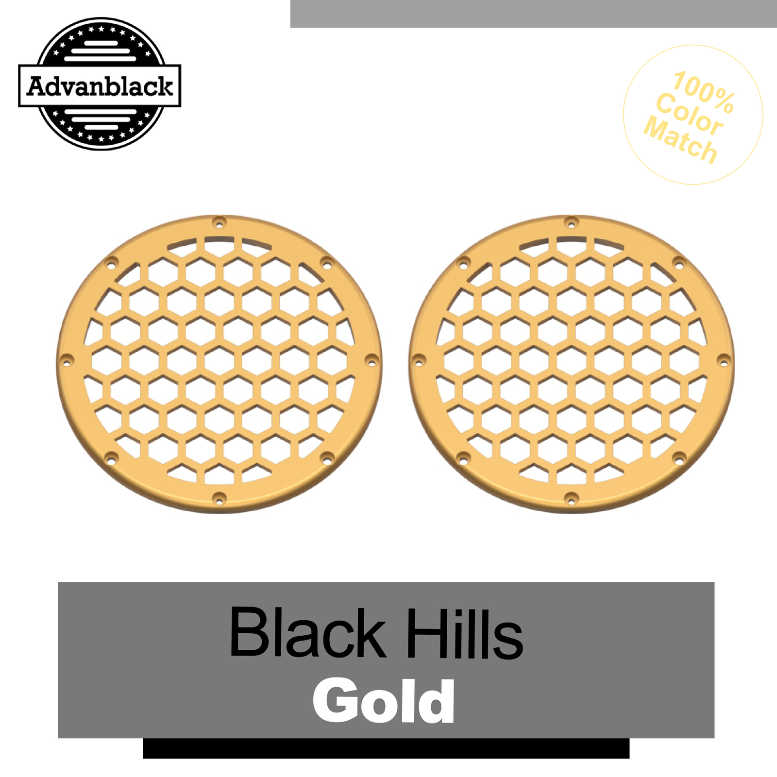 HEX 6.5'' Speaker Grill For Harley Black Hills Gold Advanblack x XBS eBay