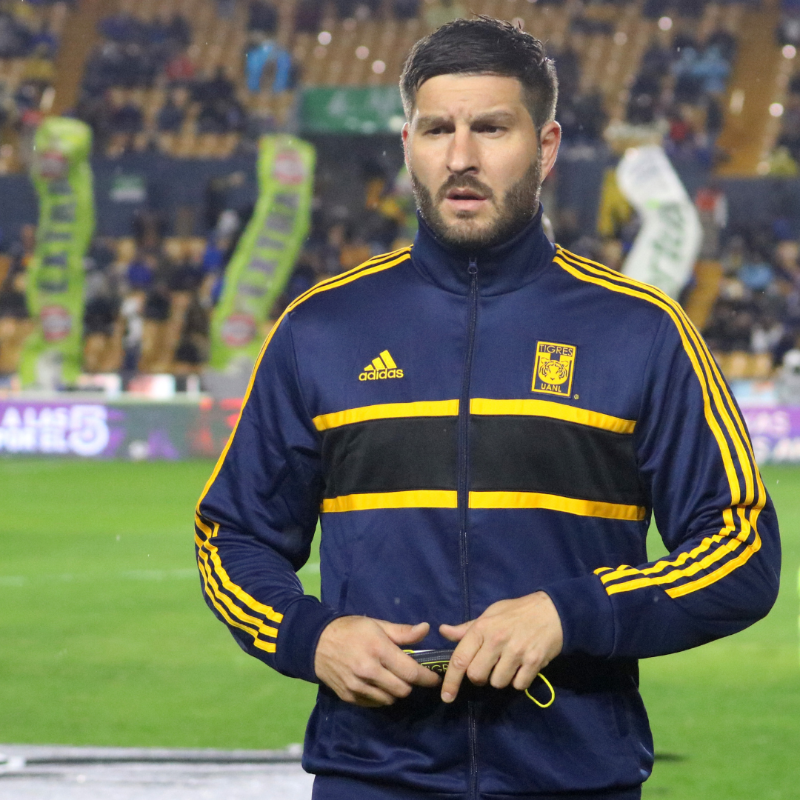 adidas Tigres UANL mens jacket Night Indigo, Black and Collegiate Gold |  eBay