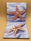 Set of 2 Stylish Small Square Canvas Photographic Starfish Pictures 