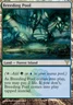Breeding Pool Dissension Magic mtg Light Play, English x1