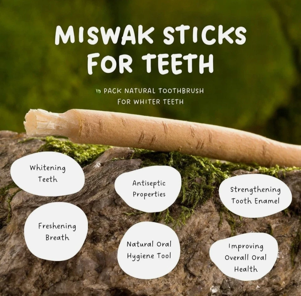 MIMPER Natural Miswak Pilu Pelu Sewak Siwak Arak  Stick 12pcs  Herbal Toothbrush - Image 2 of 4