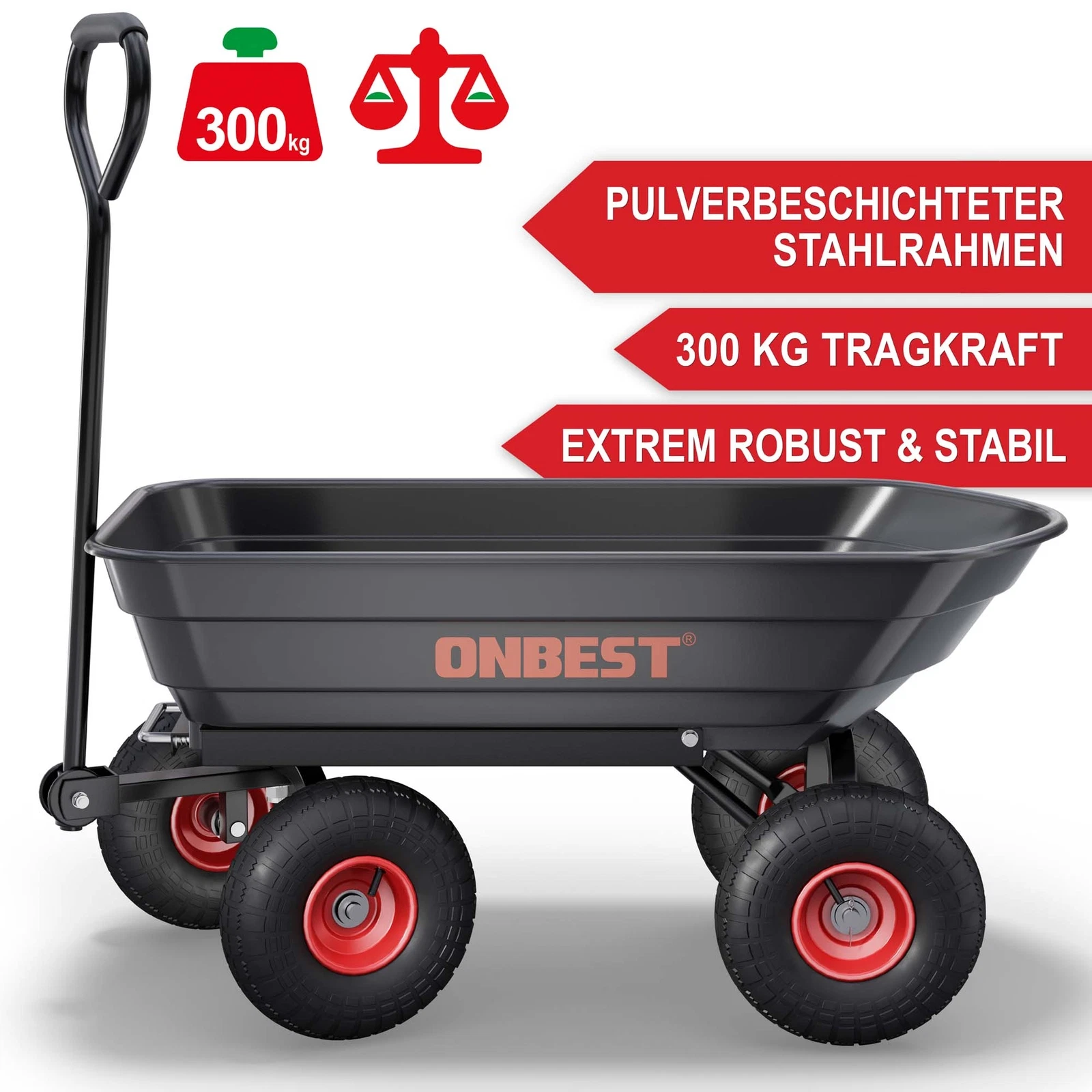 Bild 5 von 12