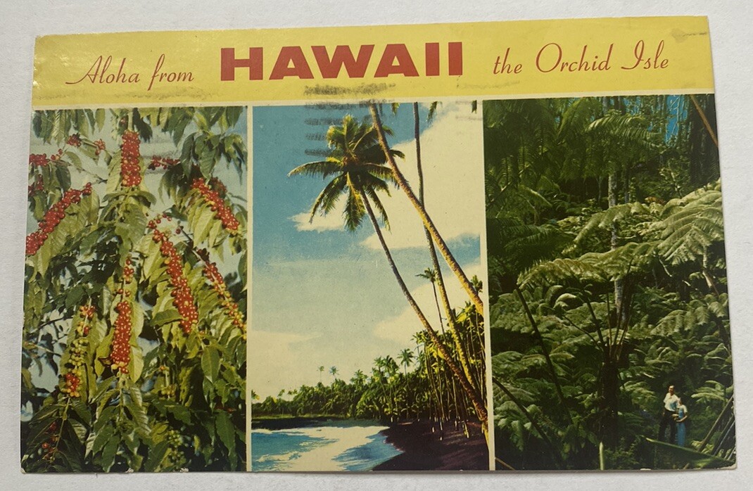 Vintage Postcard~ Aloha from the Orchid Isle, Black Sands Beach View ~ Hawaii HI