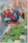 AMAZING SPIDER-MAN #28 ROBERTA INGRANATA MAGIC THE GATHERING VIRGIN VARIANT