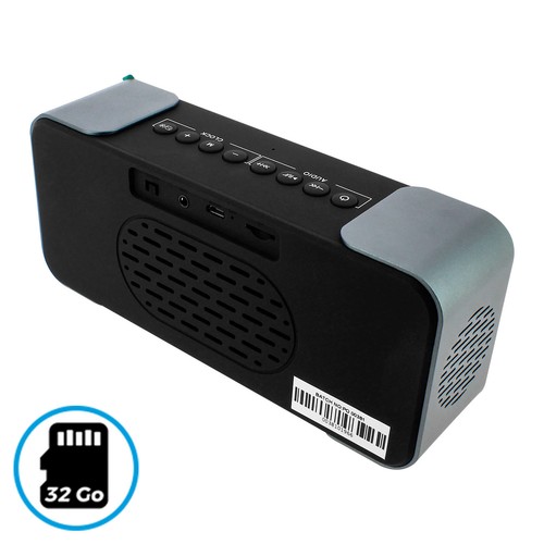 Blaupunkt bluetooth Speaker Wireless 