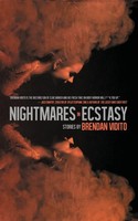 Nightmares In Ecstacy | Brendan Vidito | Taschenbuch | Kartoniert / Broschiert