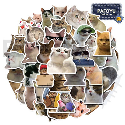 Katzen Sticker Set - Katze Cat MEME Fun Lustige Aufkleber Geschenk 50 Stk.