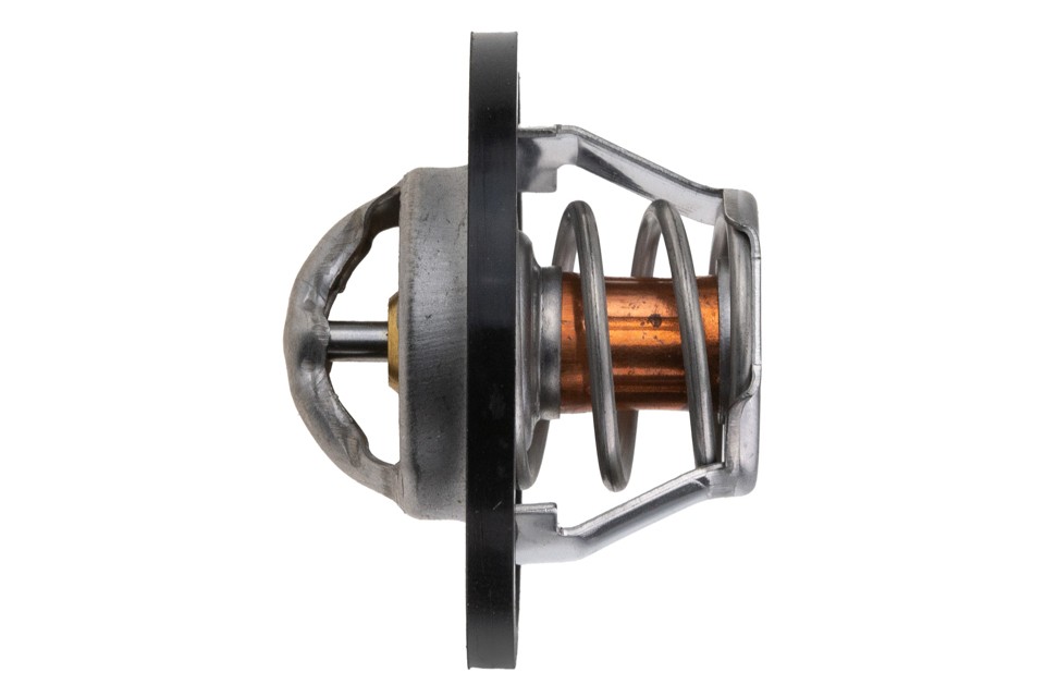 Fits NTY CTM-NS-004 THERMOSTAT