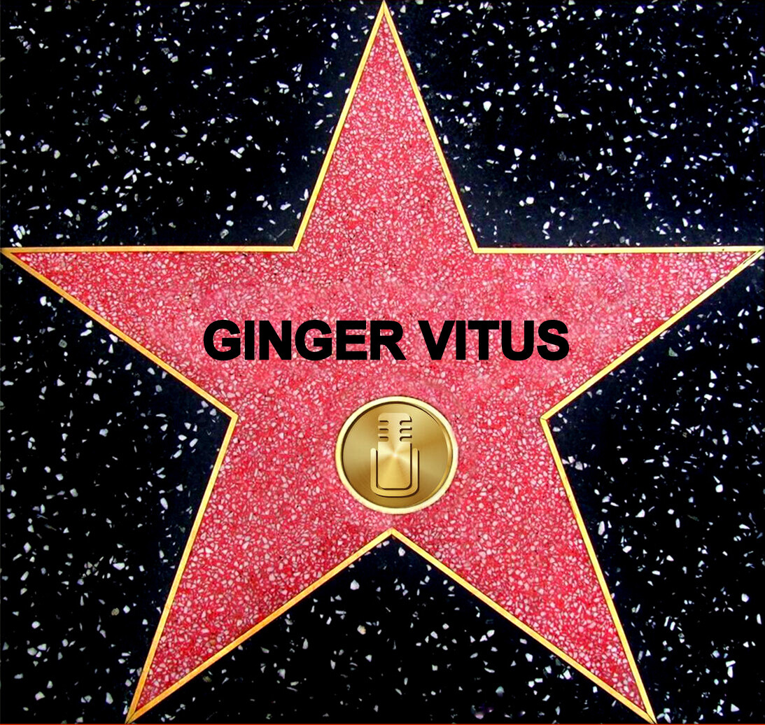 Personalized Hollywood Walk Of Fame RADIO Star Your Name On The