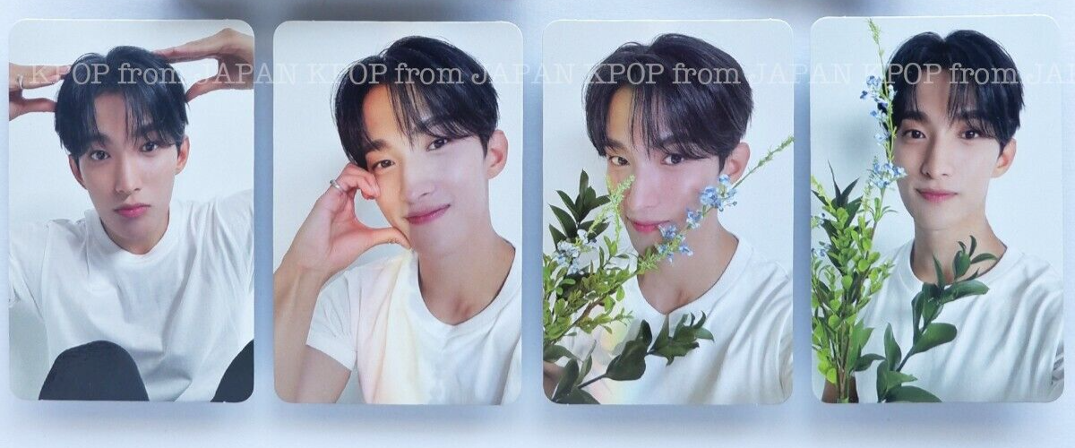 DK SEVENTEEN 17 IS RIGHT HERE DEAR ver. Binder + Concept card +