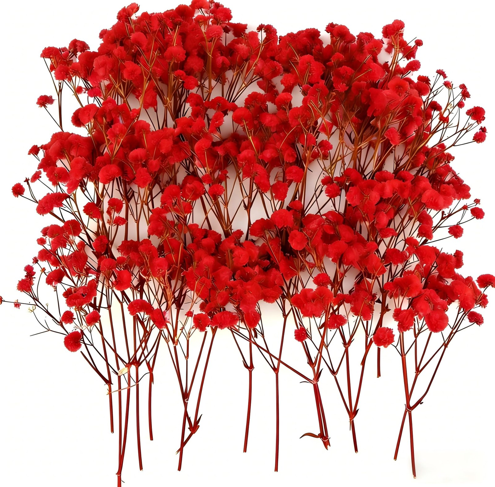 50pcs Red Dried Gypsophila Flowers - Natural Baby Breath One size,