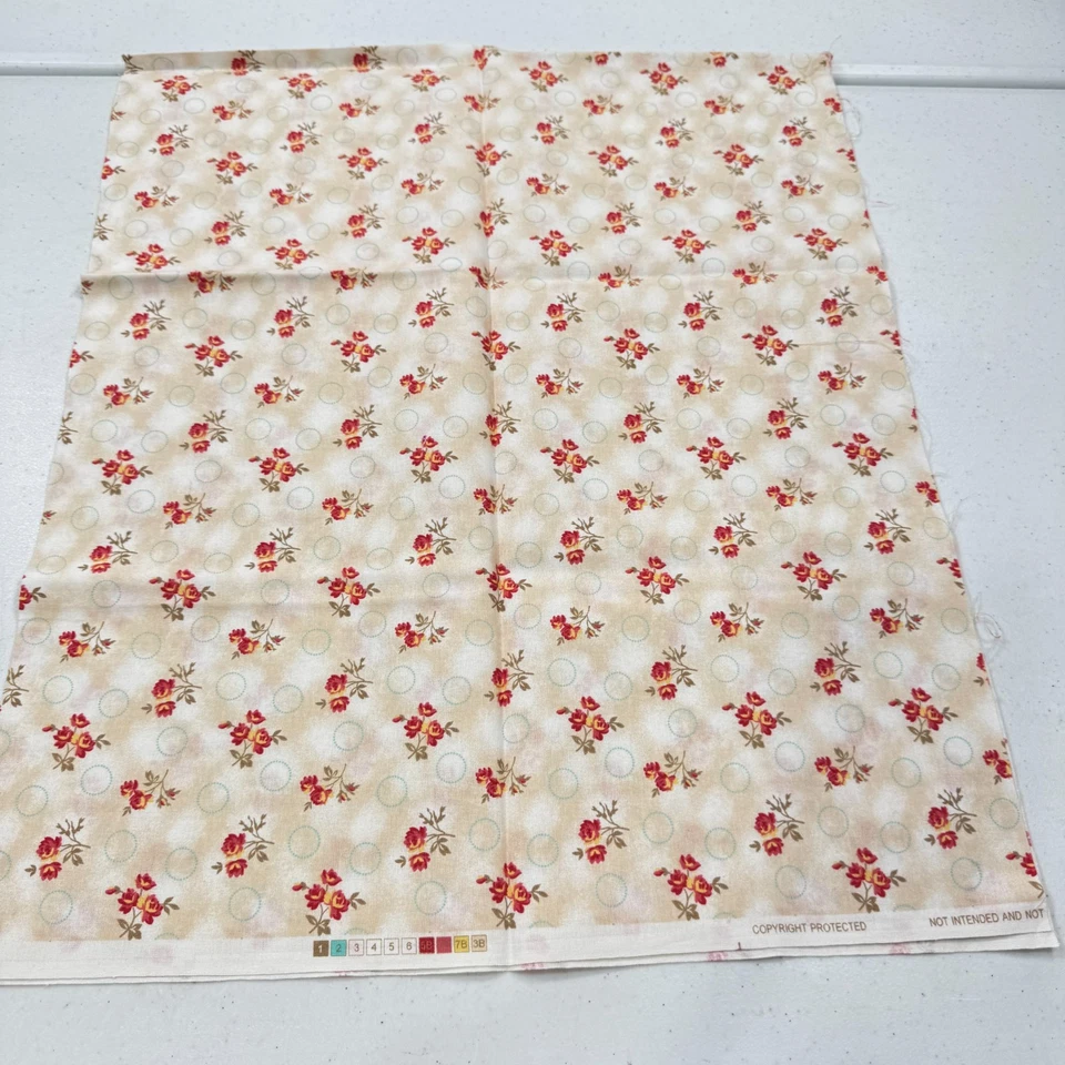 acolchado vintage beige rojo floral algodón 18x42 Foto 2 de 4