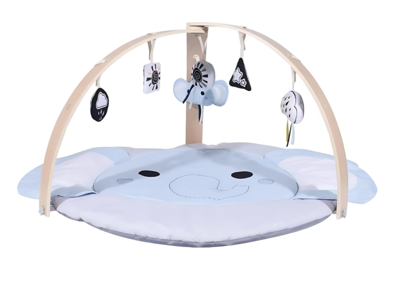 Baby Play Gym Mat Tummy Time Six Sensory