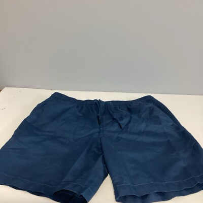 Patagonia Lightweight All-Wear Hemp Tidepool Blue Volley Shorts Men's SZ M