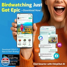 Smart Bird Feeder with Camera, Dual Seed Chambers and Spill Resistant, Solar-...