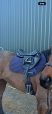 17.5 Inch Jump Saddle Premier Equine