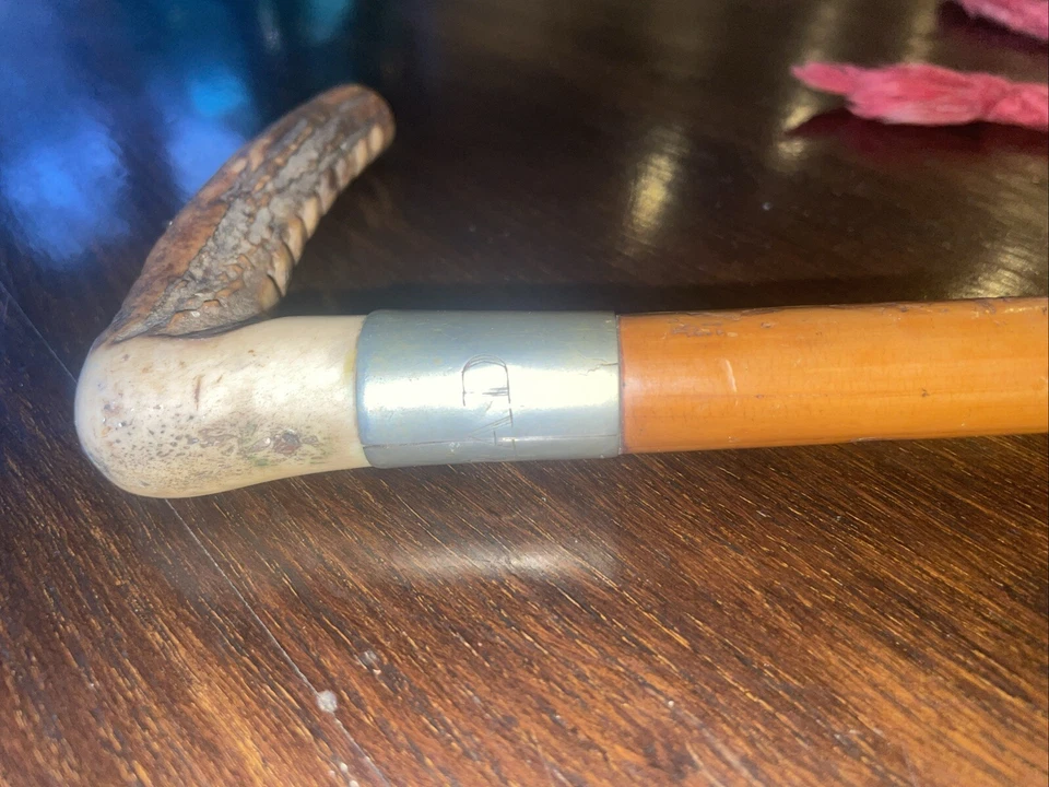 Vintage Antler Handle Leather Wrapped Hunting Carriage Whip Monogram RAD - Image 4 of 4