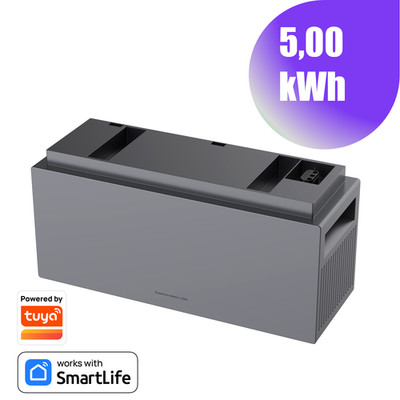 CONOW Tuya CBE2000 PRO Erweiterungsakku   2,0 kWh