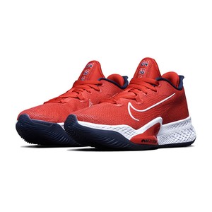 nike air zoom basketball shoes