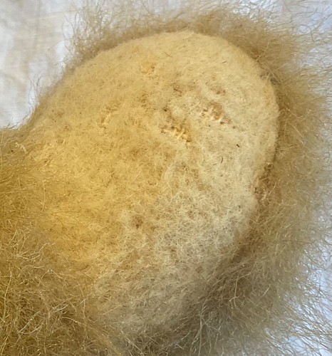 Artist Kathleen Wallace Stier Jointed~Large 17” Gold Mohair growler teddy bear - Picture 8 of 9