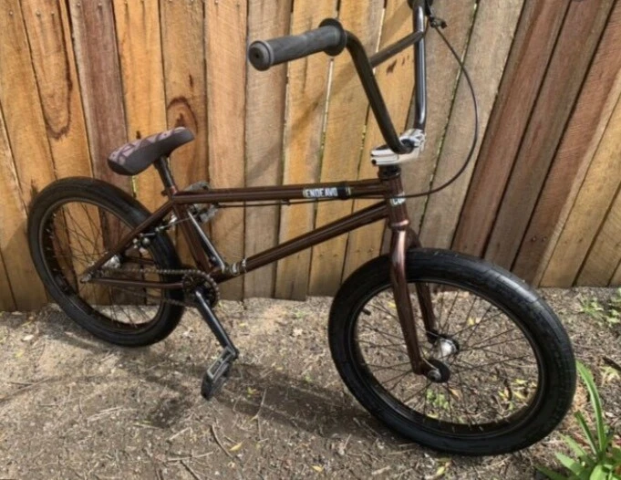 colony endeavour 2019