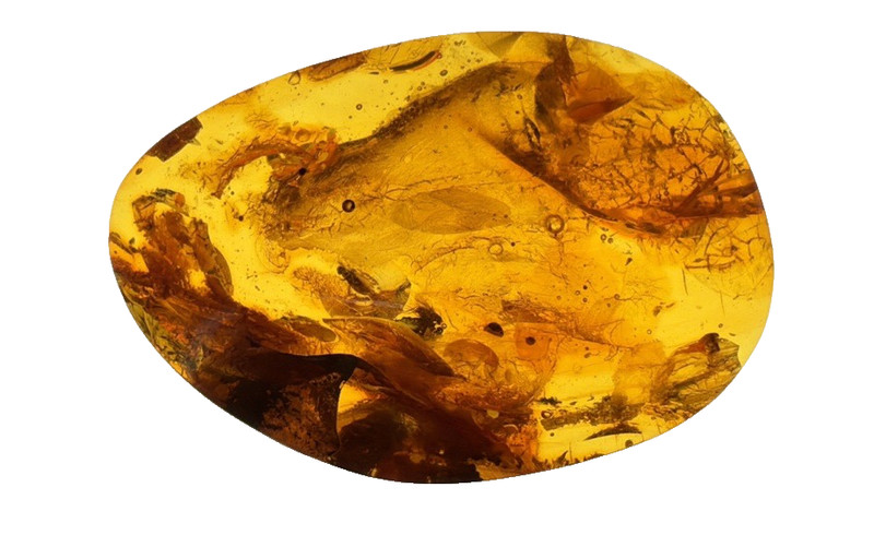 GENUINE BALTIC AMBER FOSSIL CABOCHON PREHISTORIC PLANT BOTANICAL INCLUSION 8.64G
