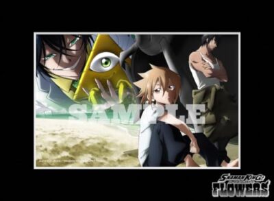 TV anime SHAMAN KING FLOWERS Blu-ray BOX [Limited edition] Bluray
