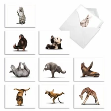 10  All Occasion Blank Cards Assortment - ZOO YOGA M6547OCB