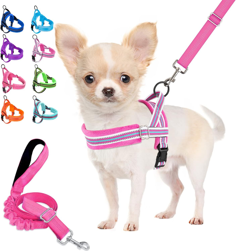 Soft Padded Adjustable Dog Harness & Leash Set for Small Dogs