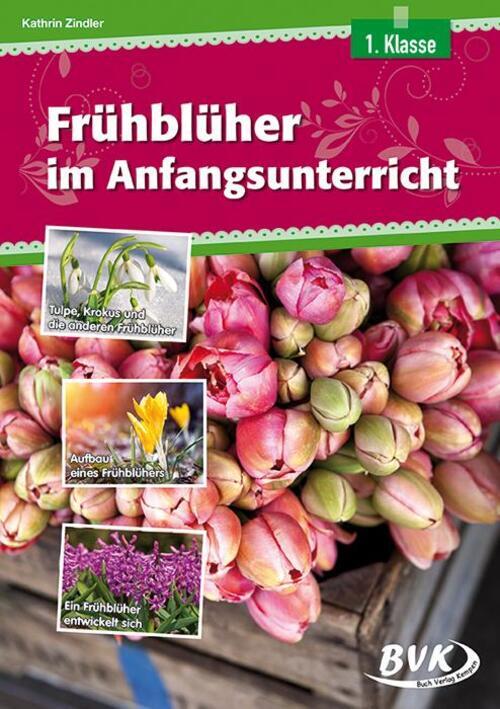 Thumbnail - Frühblüher Anfangsunterricht Kathrin Zindler Broschüre 76 S. Deutsch