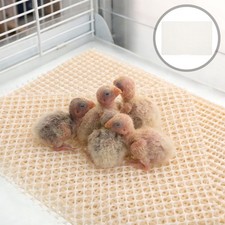 20 Pcs Parrot Brooding Mat Nesting Pad for Chickens Bird Supplies