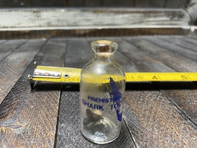 Prehistoric Shark Tooth Fossil Collection Display Bottle Vertebrate Teeth