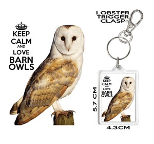 Barn Owl Keyring Keep Calm And Love Barn Owls Owl Mug Available