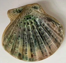 Vintage Pottery marked Clam Sea Shell Trinket Candy Dish