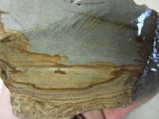 Marvelous RED DESERT PICTURE JASPER rough … 5.1 lbs … Oregon